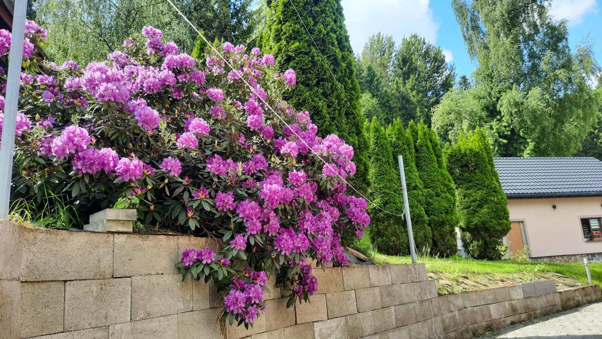 Pokoje U Juroszka Istebna Εξωτερικό φωτογραφία